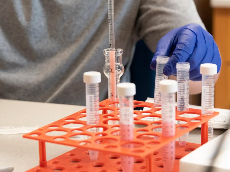 staff members of Mustafa Khasraw’s lab