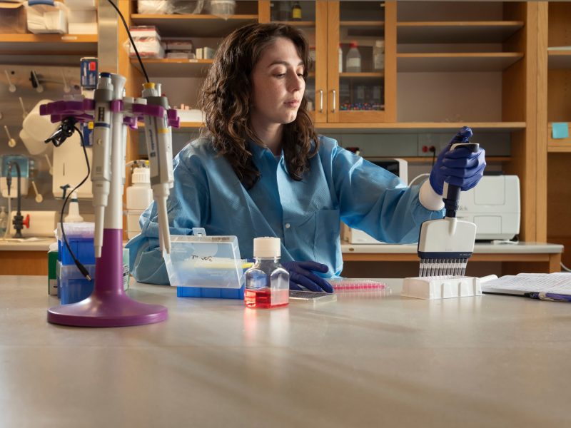 staff members of Mustafa Khasraw’s lab