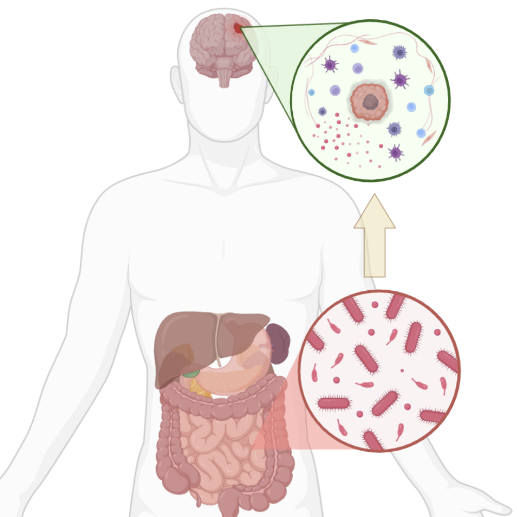Microbiome Project Graphic