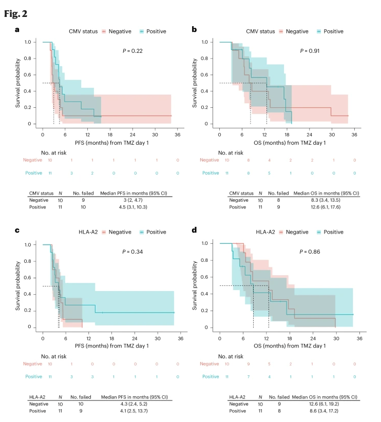 A peptide vaccine targeting the CMV antigen pp65 in children and young adults with recurrent high-grade glioma and medulloblastoma: a phase 1 trial