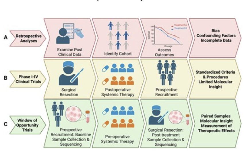 Leveraging single-cell profiling in early-phase trials to guide rational therapy development