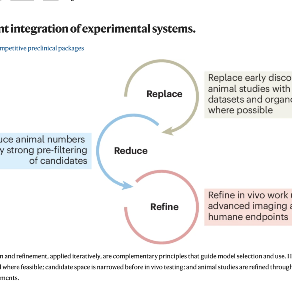 A roadmap to competitive preclinical packages