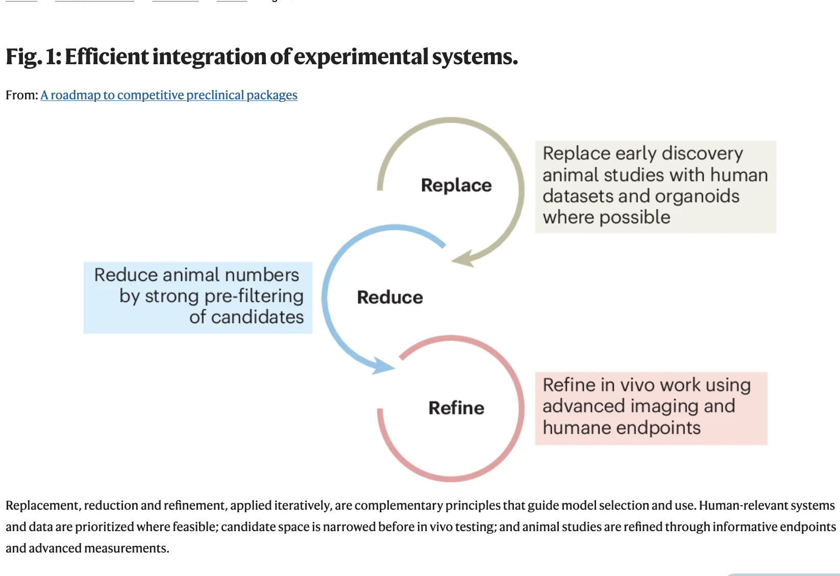 A roadmap to competitive preclinical packages